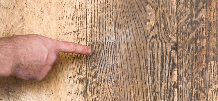 Wood Door Scratch Repair in Elgin, Illinois